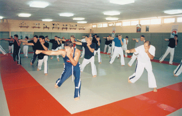 training2